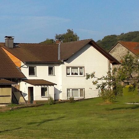 Ferienwohnung Auf Dem Pferdehof 肖顿 外观 照片