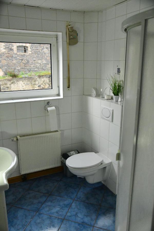 Ferienwohnung Auf Dem Pferdehof 肖顿 外观 照片
