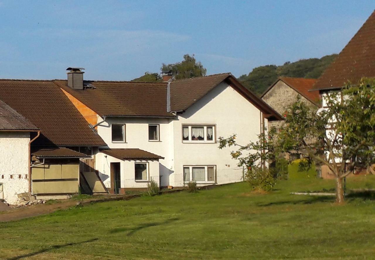 Ferienwohnung Auf Dem Pferdehof 肖顿 外观 照片